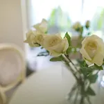 Luxury-villas